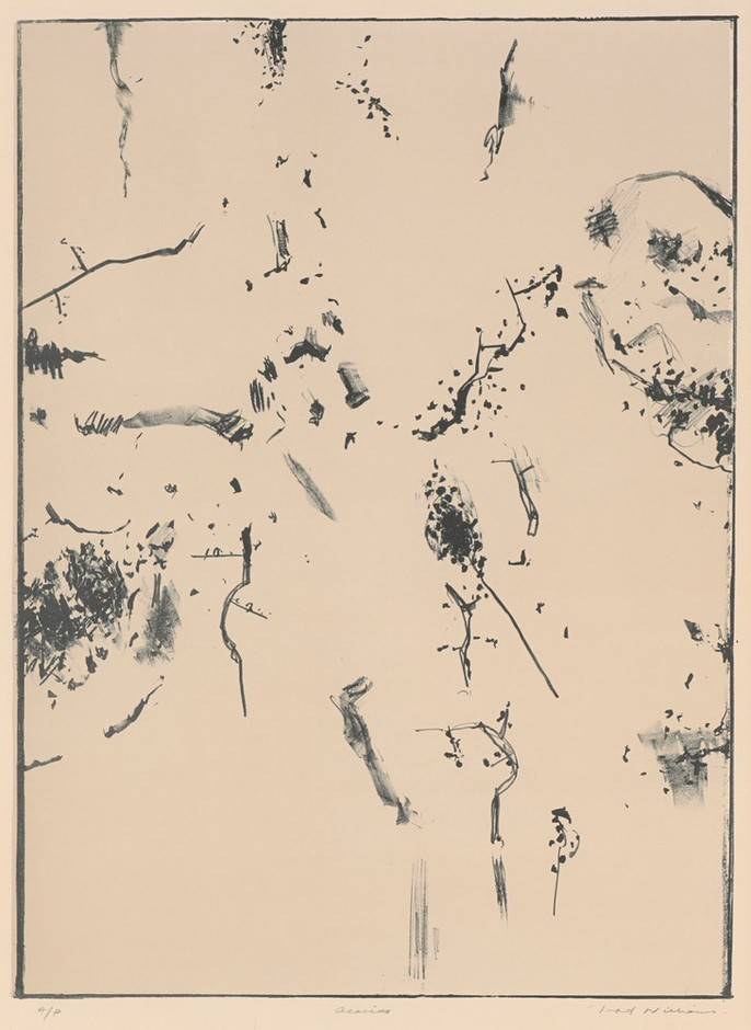 Acacias