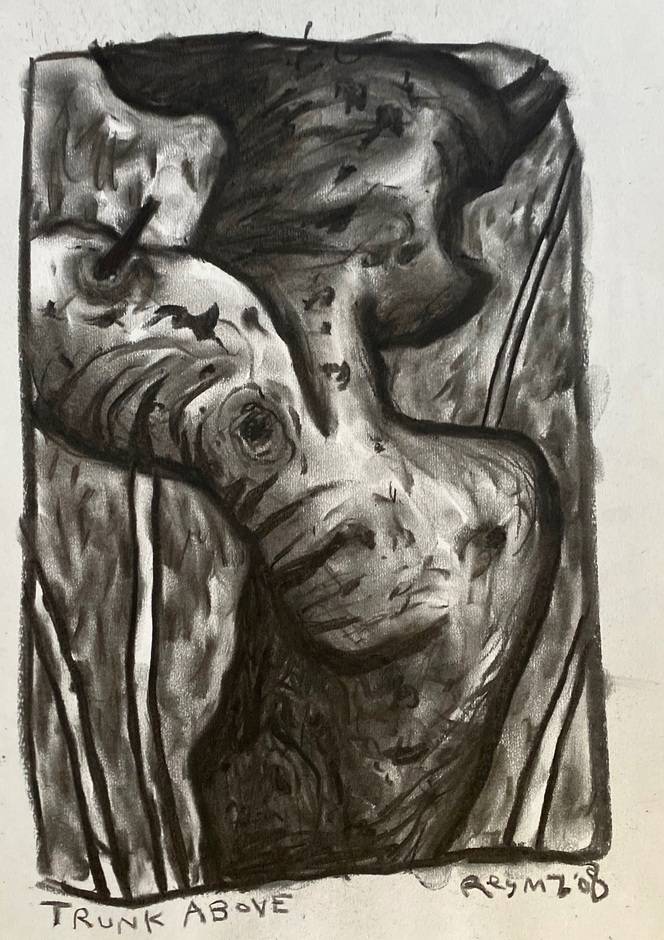 Trunk Above, 2008