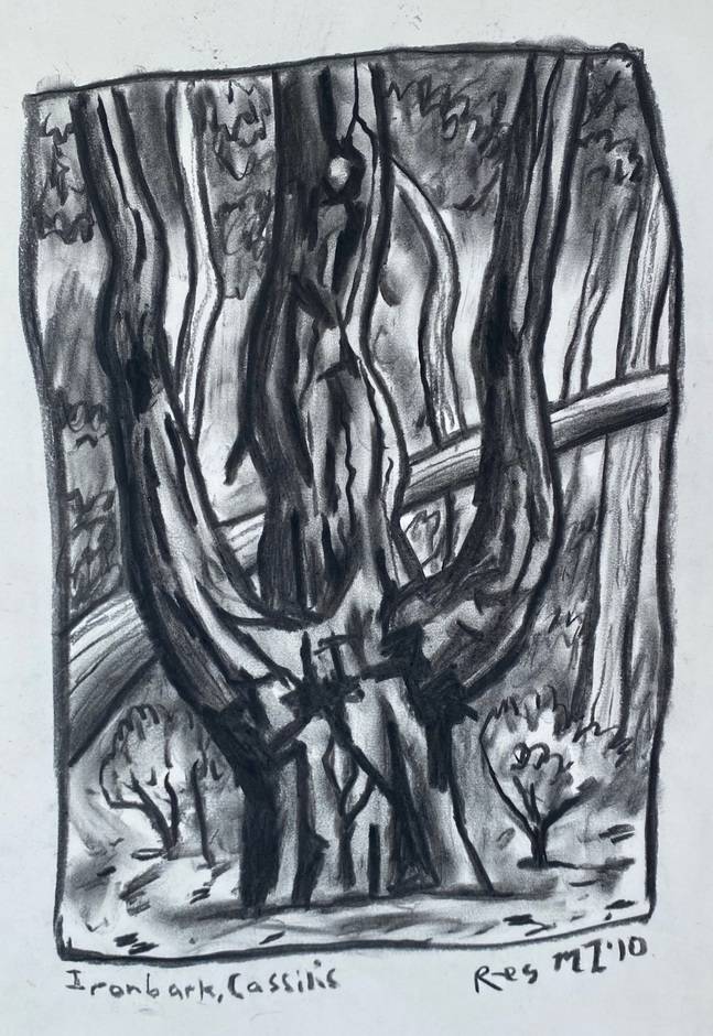 Ironbark, Cassilis