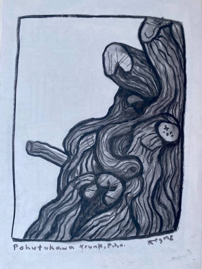 Pohutukawa trunk, Piha