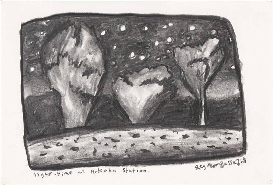 Night-time at Arkaba Station