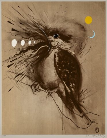 Kookaburra , 1983