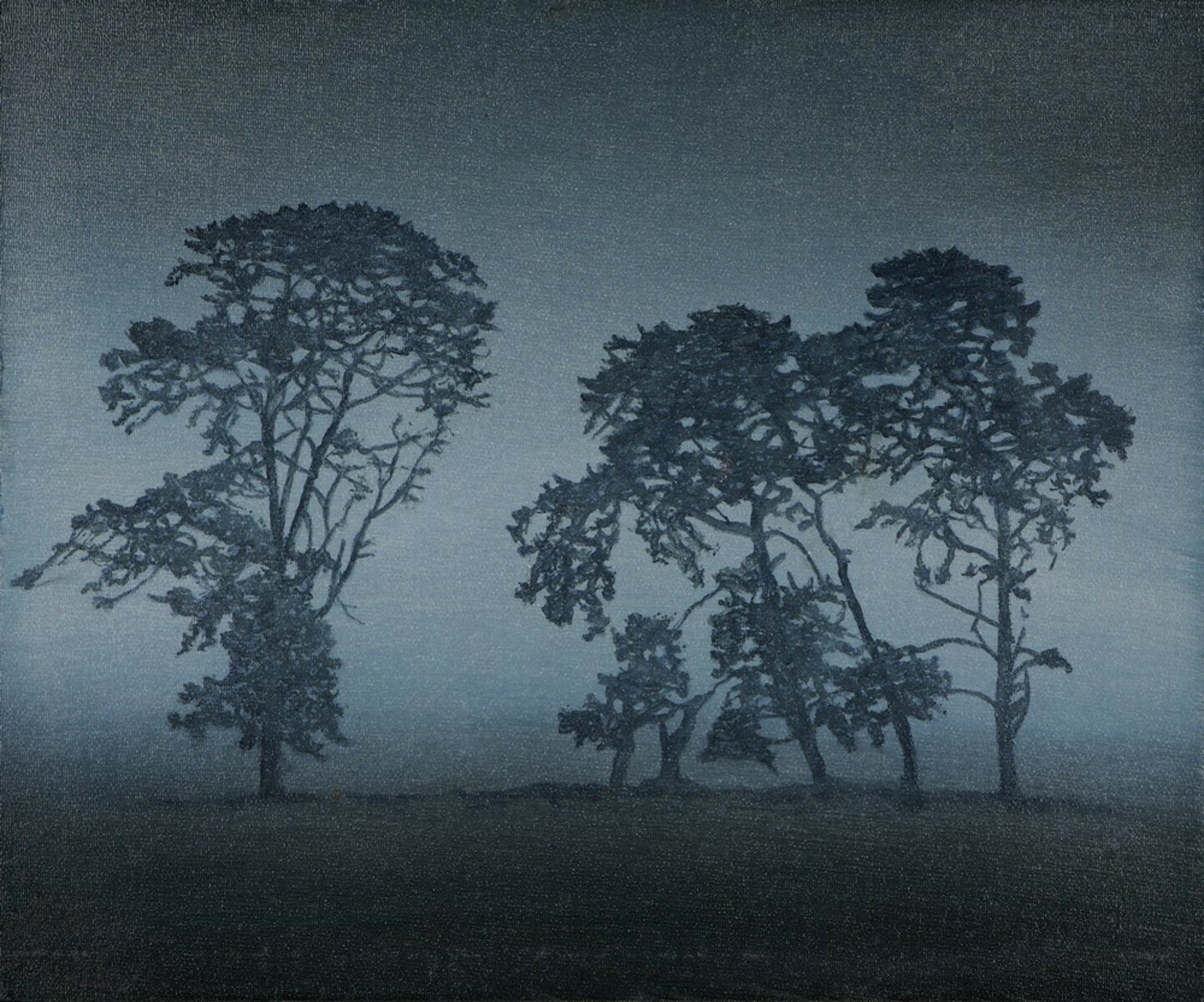 Back Paddock Panmure