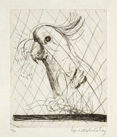 Hullo (Cockatoo) ed. 59/80