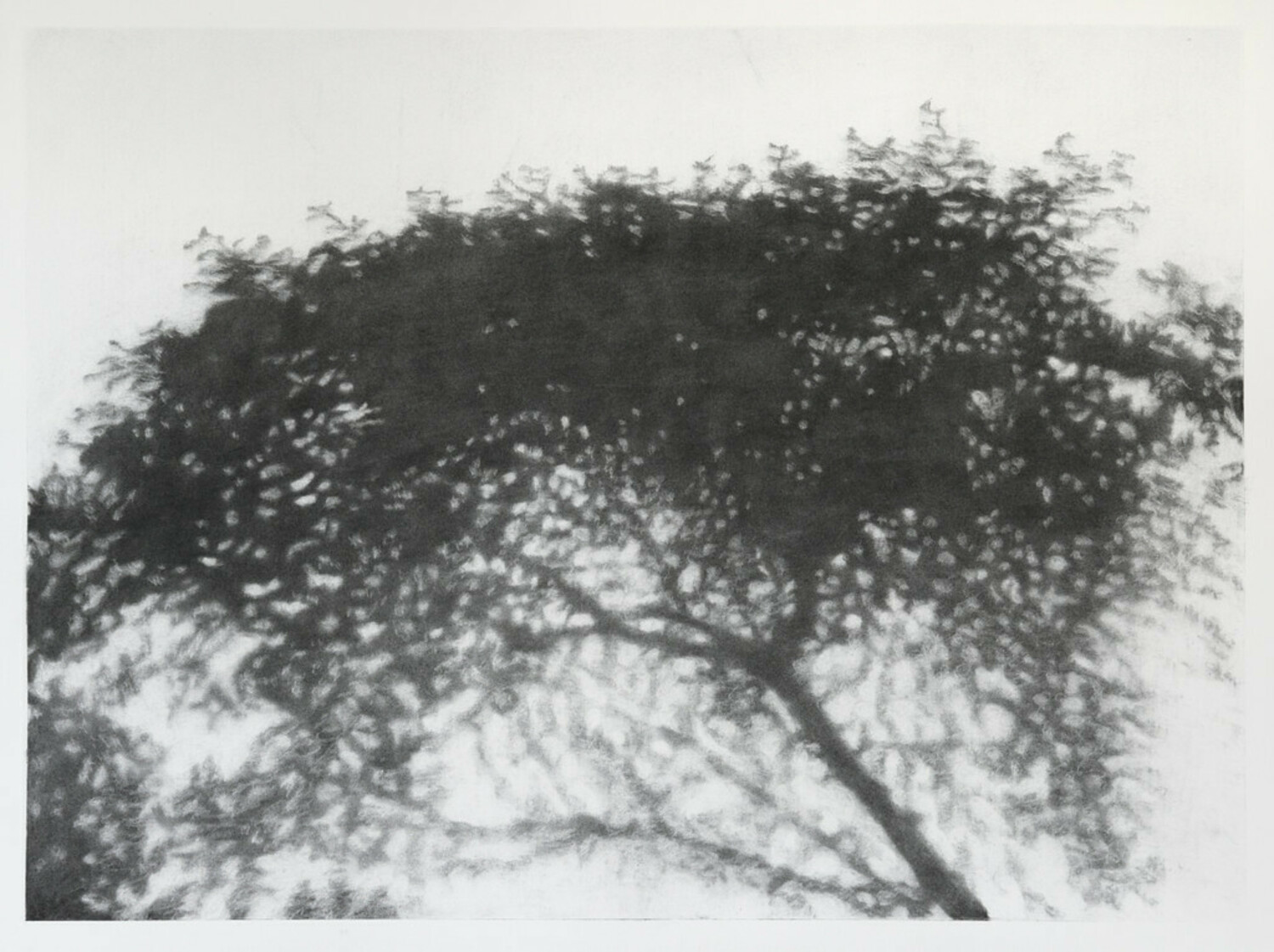 Hopkin's  River Shadow #1, 2016